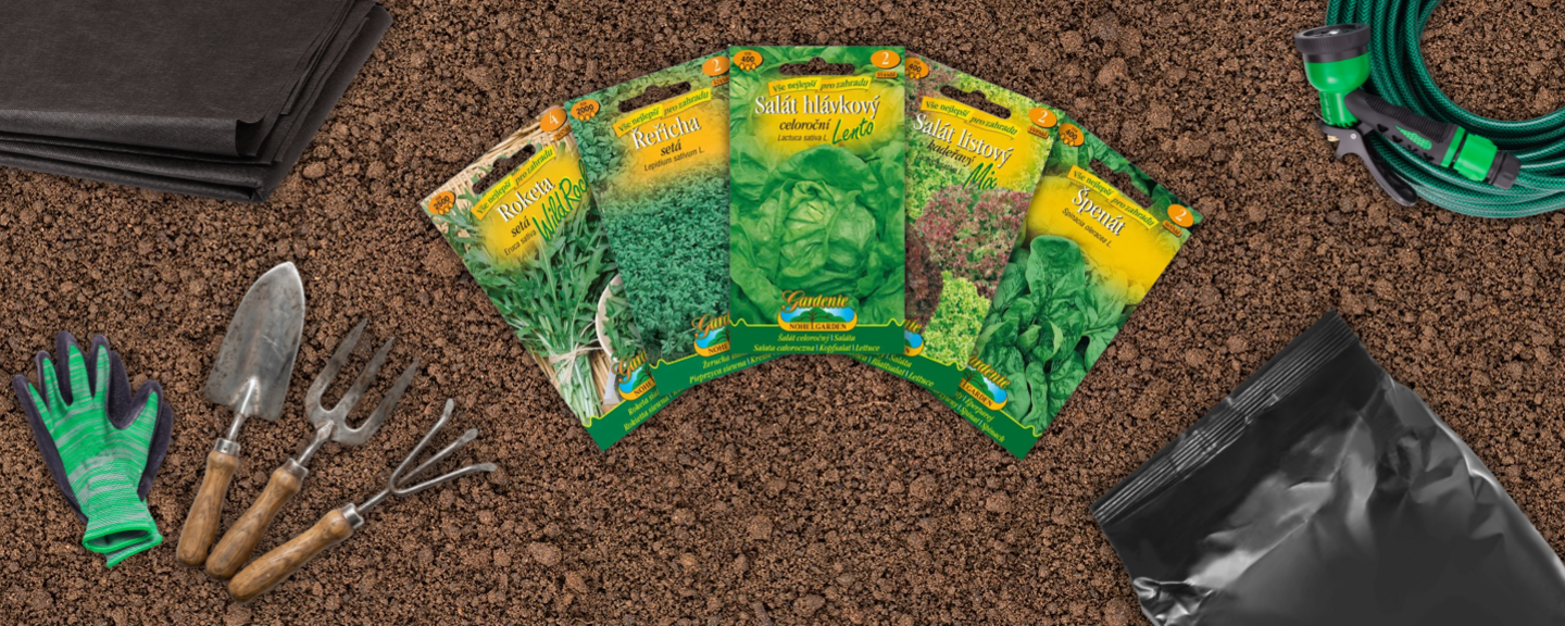 Obrázek produktu Semínka listové zeleniny