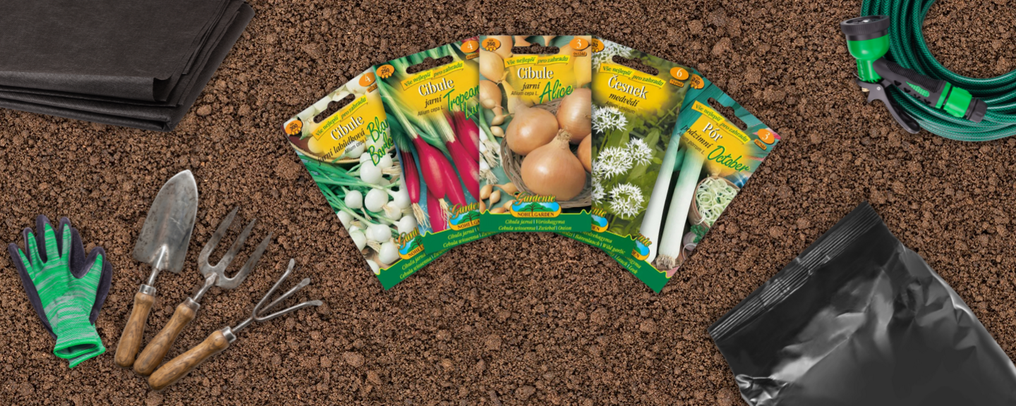 Obrázek produktu Semínka cibulové zeleniny