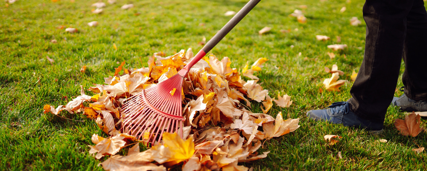 Obrázek produktu Hrábě a vidle