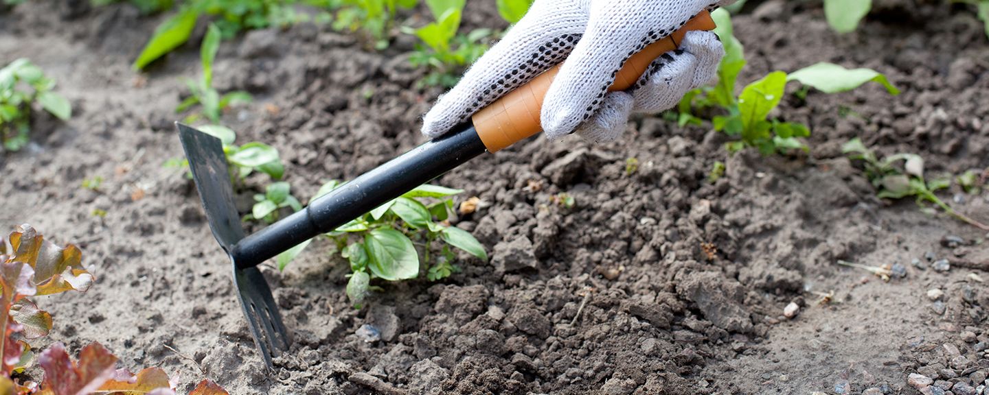 Obrázek produktu Vytrhávače plevele a motyky