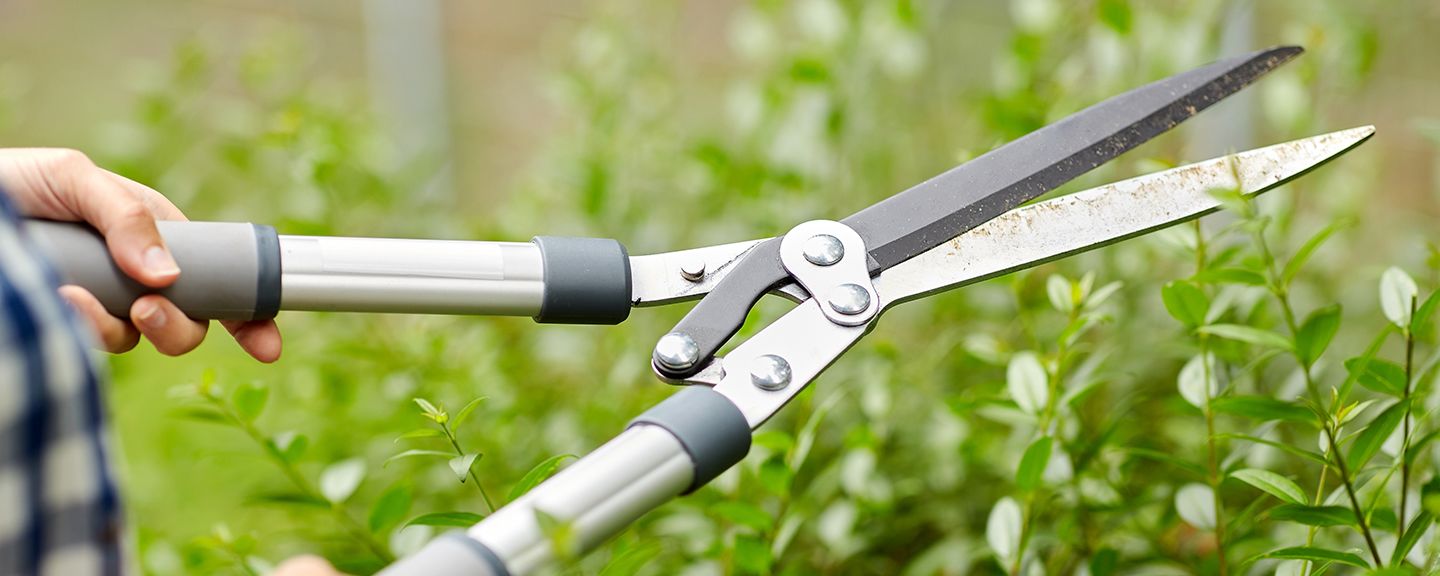 Obrázek produktu Zahradní nůžky