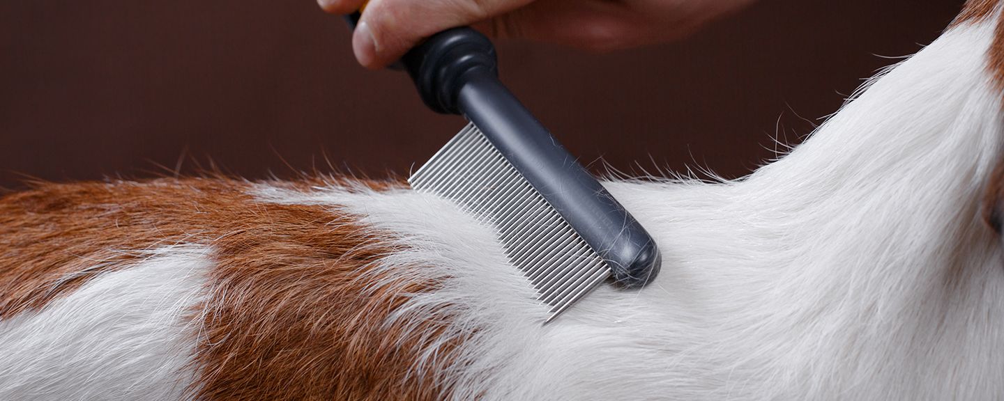 Obrázek produktu Hygienické a čistící potřeby