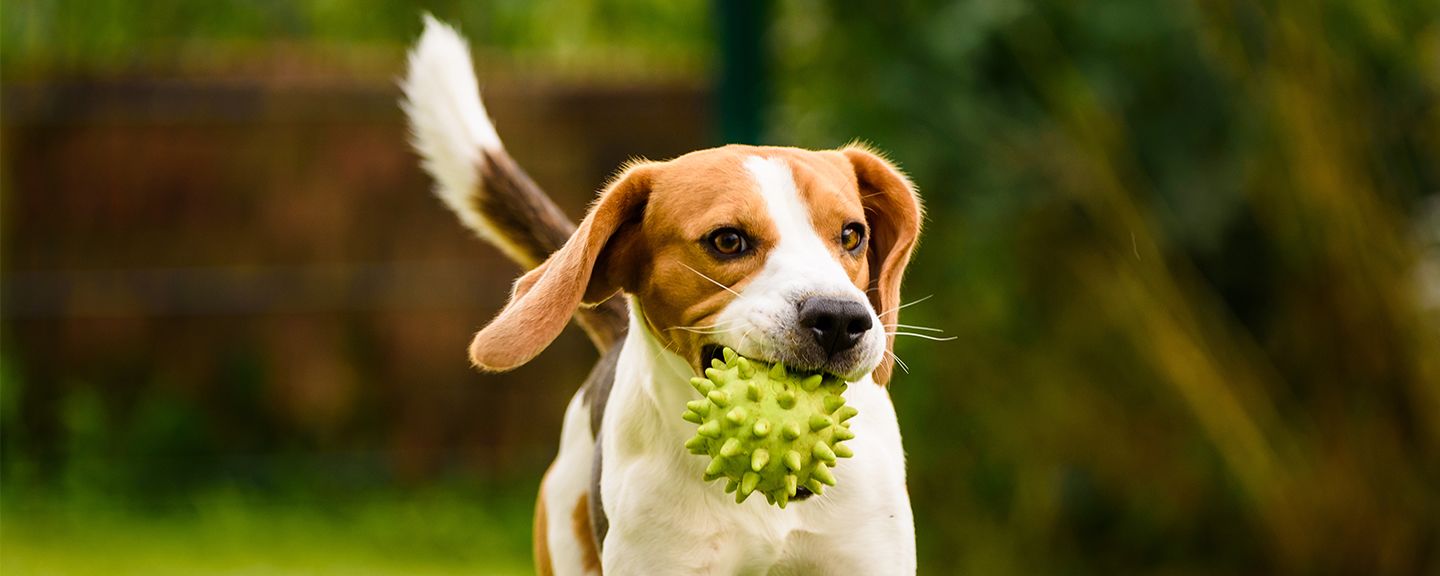 Obrázek produktu Příslušenství