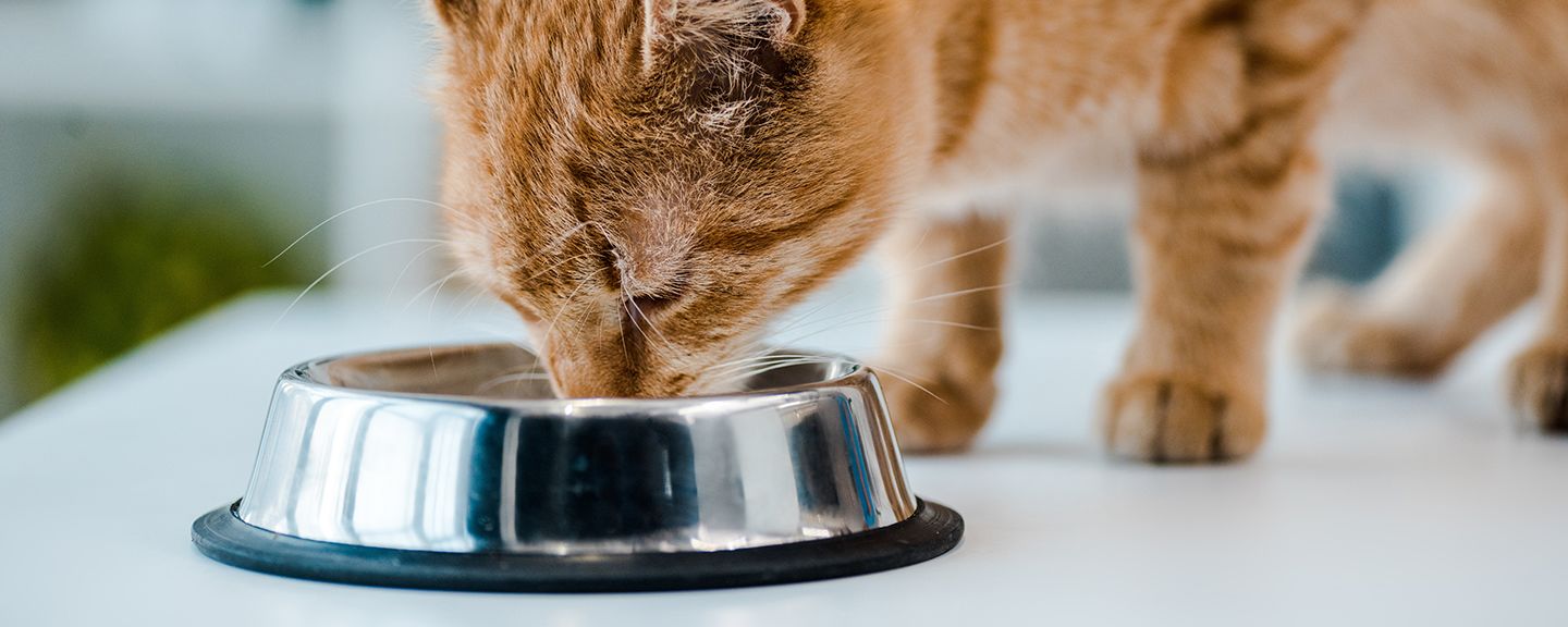 Obrázek produktu Misky