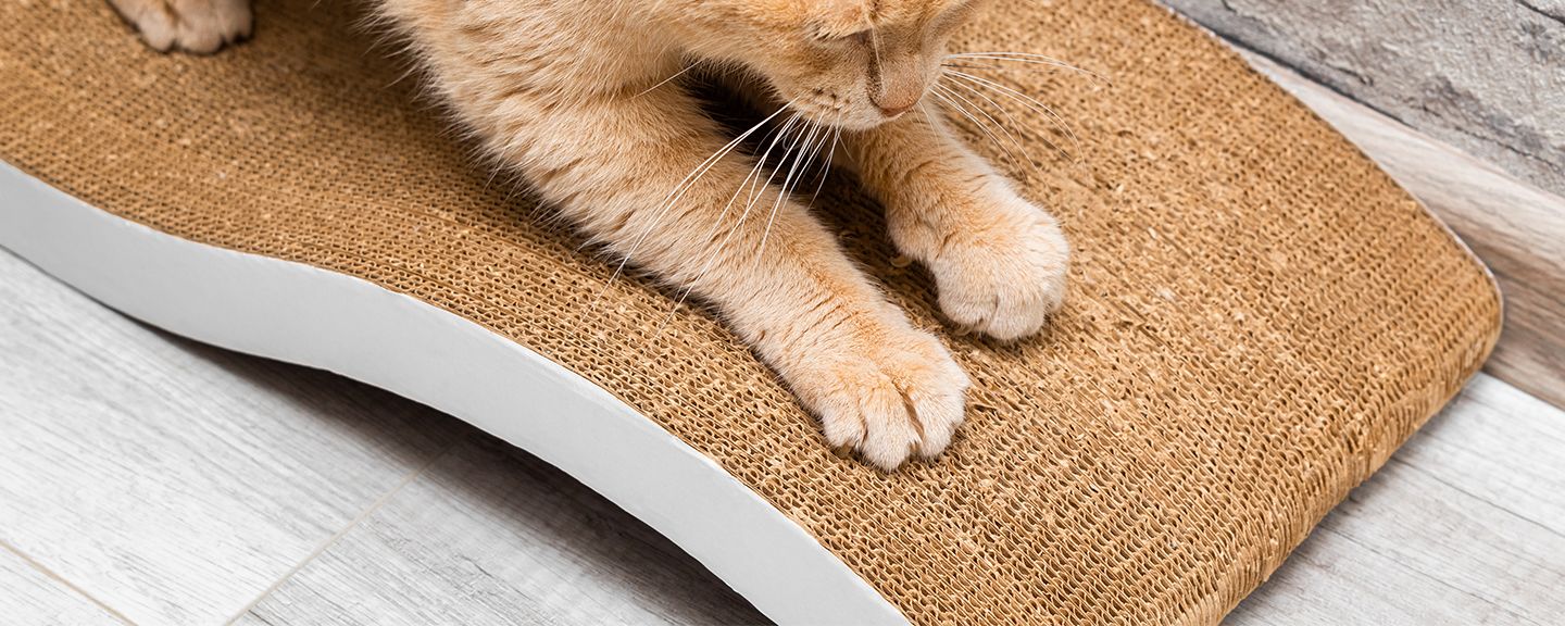 Obrázek produktu Škrabadla