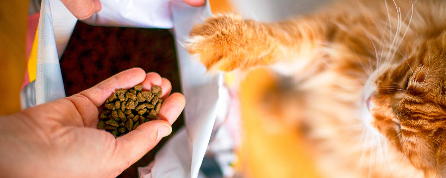 Obrázek produktu Granule