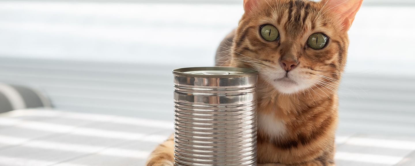 Obrázek produktu Konzervy