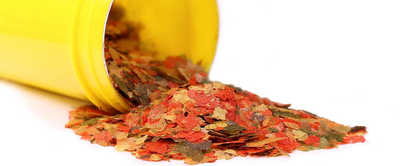 Obrázek produktu Krmivo pro ryby