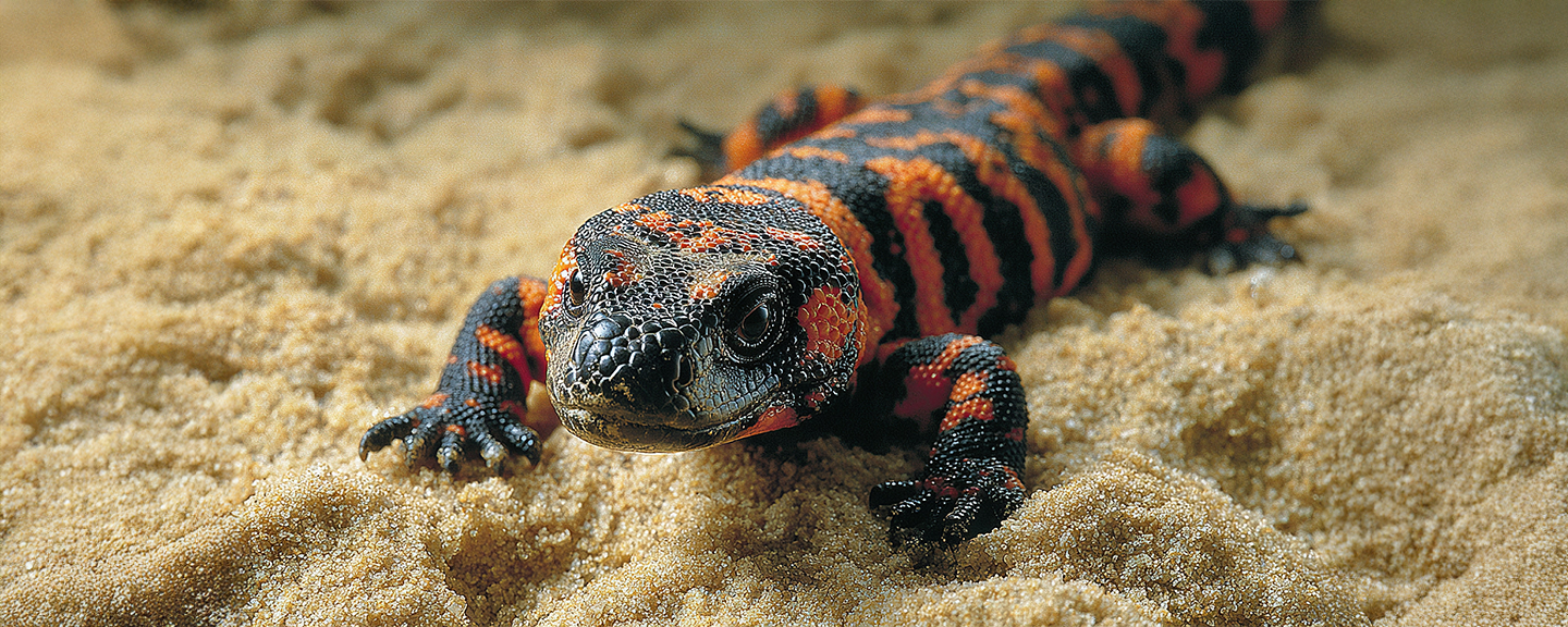 Obrázek produktu Podestýlky