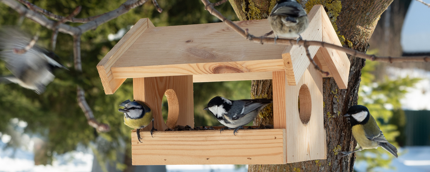 Obrázek produktu Dřevěná krmítka a budky