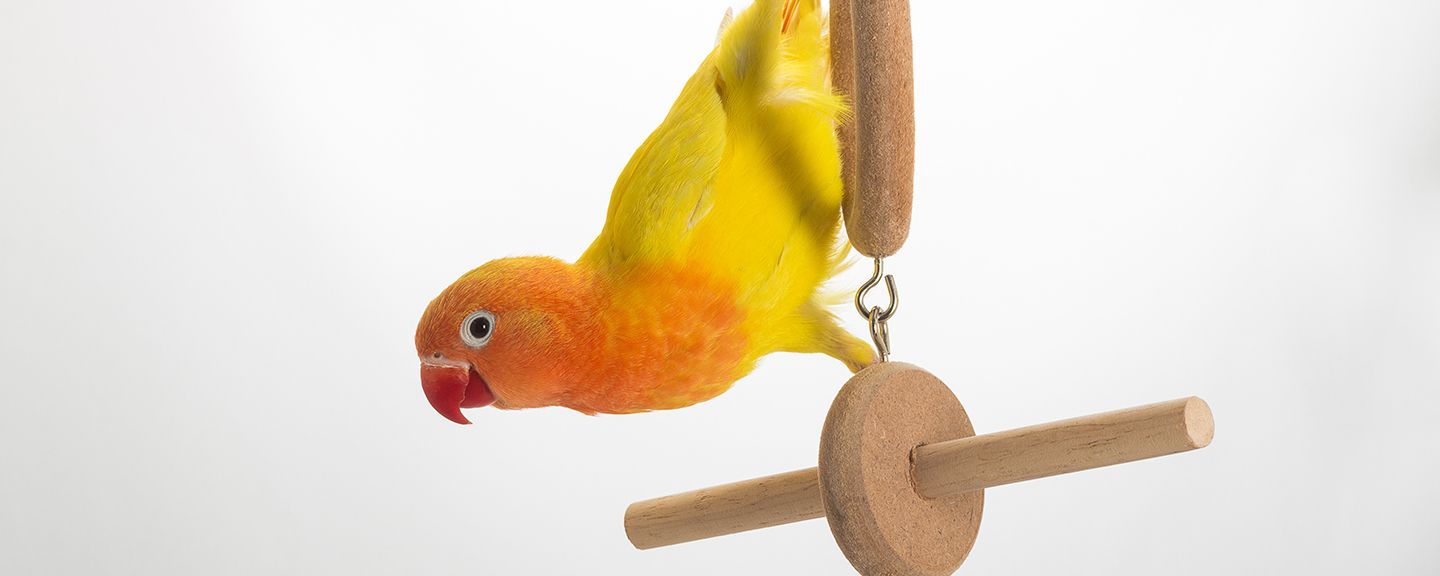 Obrázek produktu Doplňky do klecí