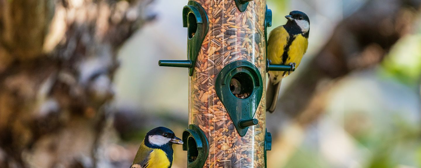 Obrázek produktu Krmivo