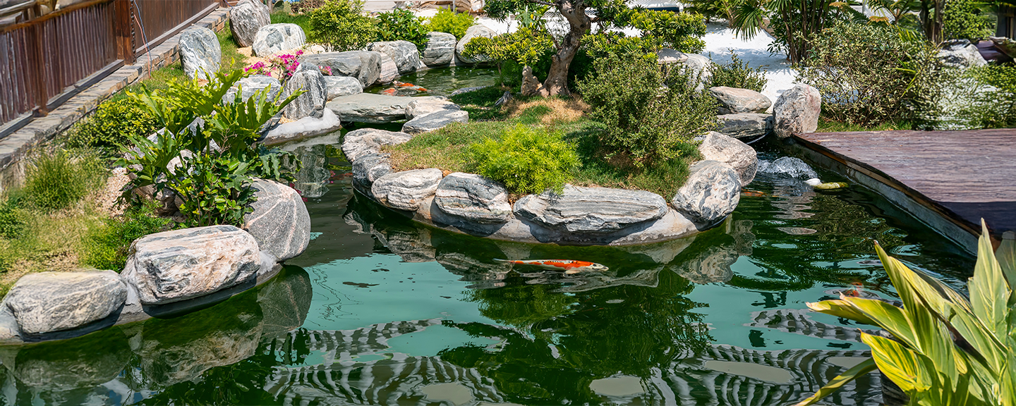 Obrázek produktu Zahradní jezírka