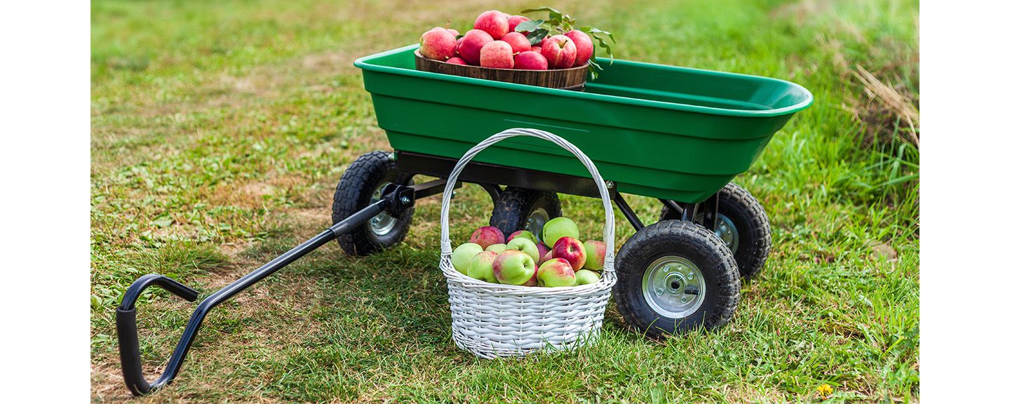 Obrázek produktu Transportní vozíky a podložky