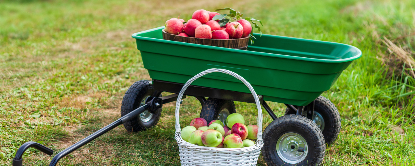 Obrázek produktu Transportní vozíky a podložky