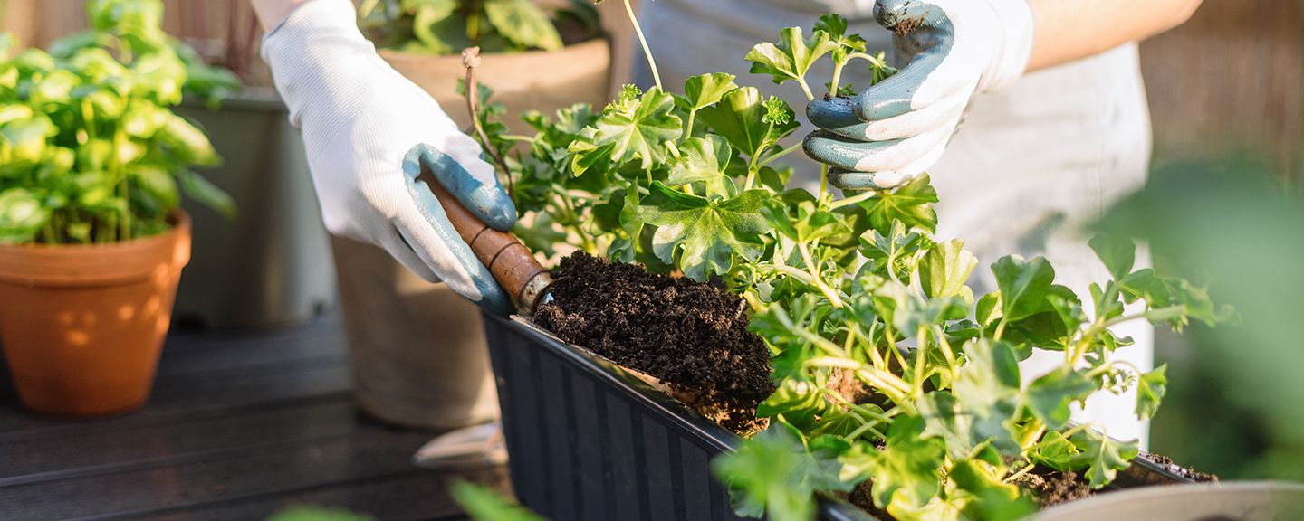 Obrázek produktu Hnojiva pro balkónové rostliny