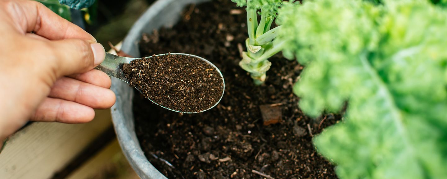 Obrázek produktu Organická hnojiva