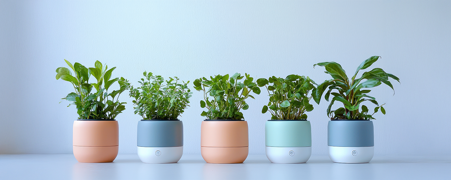 Obrázek produktu Samozavlažovací květináče