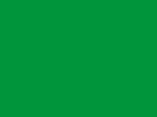 Obrázek 1 produktu Industrol S2013 5300 stř.zelená 0,375l