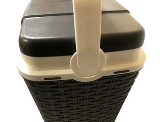 Obrázek 3 produktu Box chladicí 24L, RATAN, antracit