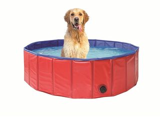 Obrázek 4 produktu Bazén pro psy skládací - 120 cm