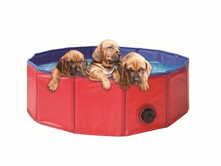 Obrázek 6 produktu Bazén pro psy skládací - 120 cm