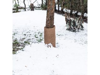 Obrázek 1 produktu Pás kokosový 0,5x1,5m