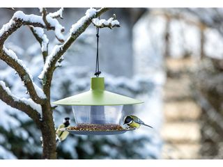 Obrázek 1 produktu Krmítko Finch - zelená