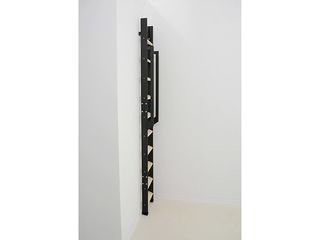 Obrázek 3 produktu Schody žebříkové STRONG 10 příček, pro výšku stropu do 243cm, kov/smrk, 36x257cm