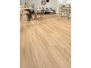 Obrázek 1 produktu Podlaha vinylová tvrzená SPC Tacoma R210, 5mm, 4V, s podložkou