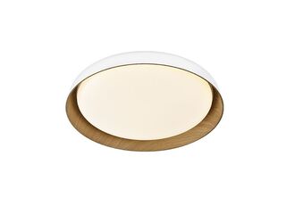 Obrázek 1 produktu Svítidlo stropní LED Satellite 40B RC max.36W max.3600lm 3000-6500K s dálk.ovl.