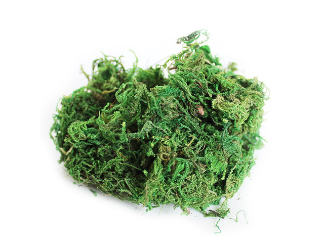 Obrázek produktu Mech 25g zelený