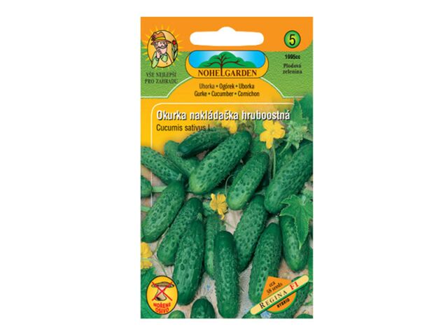 Obrázek produktu Okurka nakládačka hruboostná REGINA F1, semínka