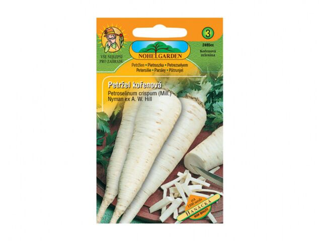 Obrázek produktu Petržel kořenová Hanácká, semínka
