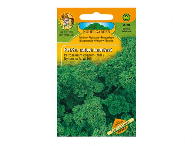 Obrázek produktu Petržel naťová kadeřavá, semínka