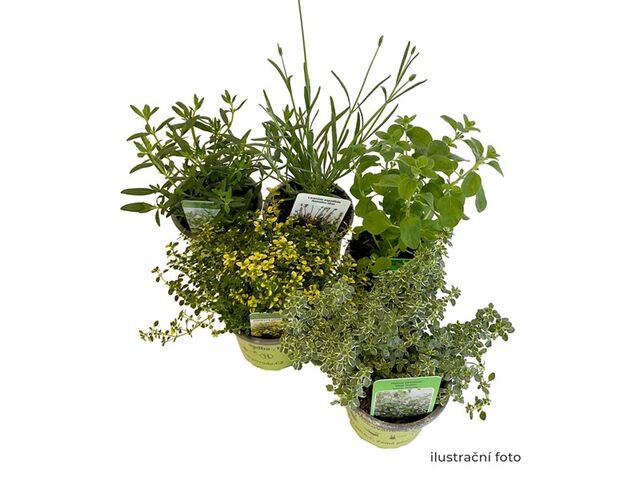 Obrázek produktu Bylinky řízkované K9