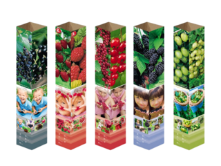 Keře ovocné v balu, mix, jumbo karton 9x9x70cm