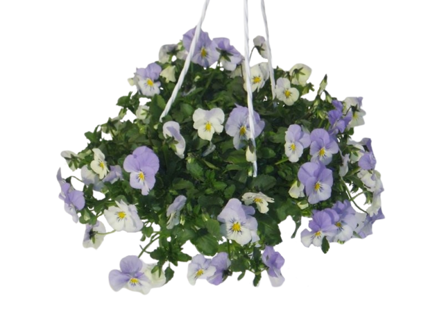 Obrázek produktu Viola závěs trio Deltini K21