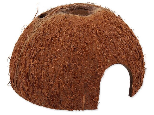 Obrázek produktu Úkryt Repti Planet Coco Shell L