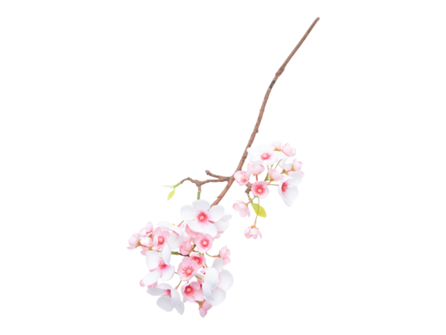 Obrázek produktu Květ jabloňový - 13 větví, 98cm - mix barev
