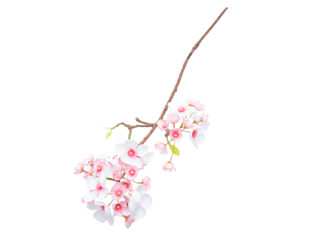 Obrázek produktu Květ jabloňový - 6 větví, 60cm - mix barev