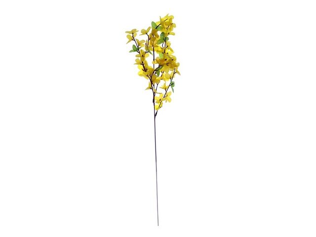 Obrázek produktu Forsythia x 7 zlatý déšť, jarní květiny