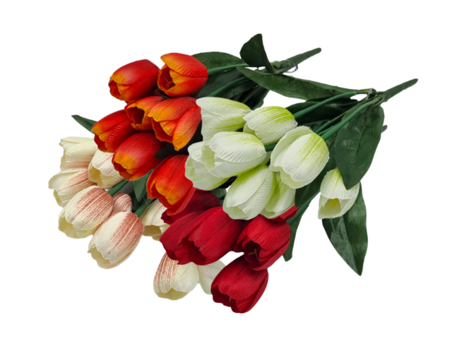 Obrázek produktu Tulipán puget 9 květů - 30cm, mix barev