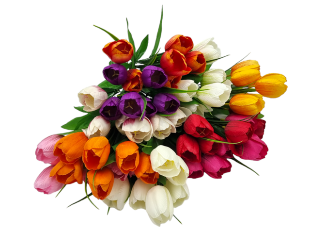 Obrázek produktu Tulipán puget 6 květů - 32cm, mix barev