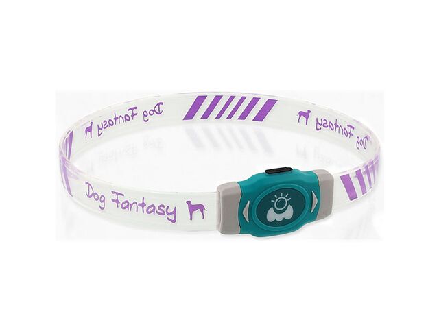 Obrázek produktu Obojek Dog Fantasy LED Svítící různobarevný nabíjecí L 65cm