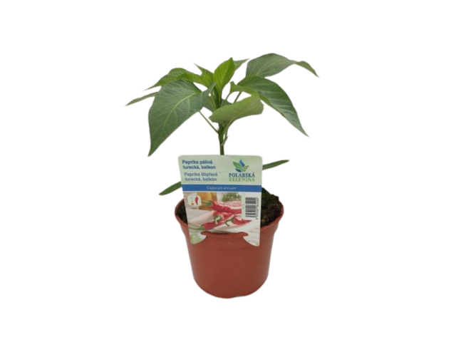 Obrázek produktu Paprika pálivá roubovaná K12