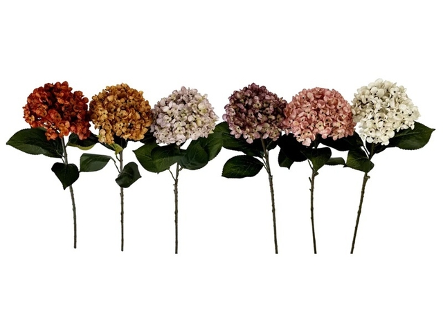 Obrázek produktu Sušina Hortenzie velkolistá (Hydrangea macrophylla) 90cm mix barev