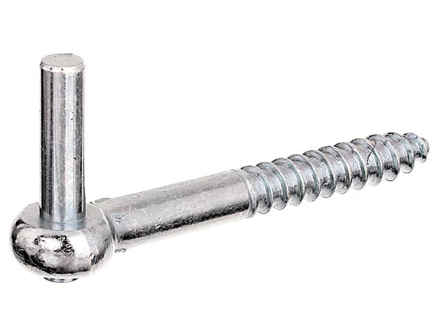 Obrázek produktu Čep závěsu s vrutem, pozink, průměr10/115