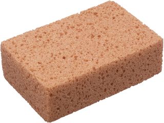 Houba obkladačská hrubá