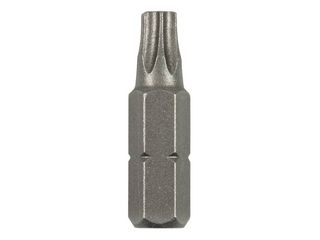 Bit šroubovací standardní Torx 25 2ks